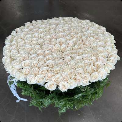 Large round bouquet of cream roses with green foliage