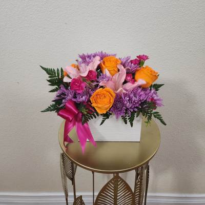 Light Of My Light Box