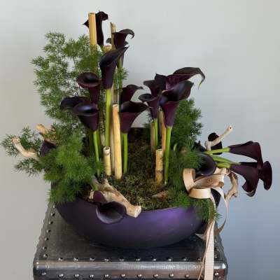 Dark purple calla lilies arranged in a low bowl with greenery and bamboo sticks