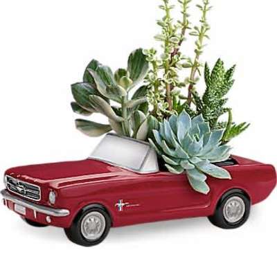 Dream Wheels '65 Ford Mustang by Teleflora