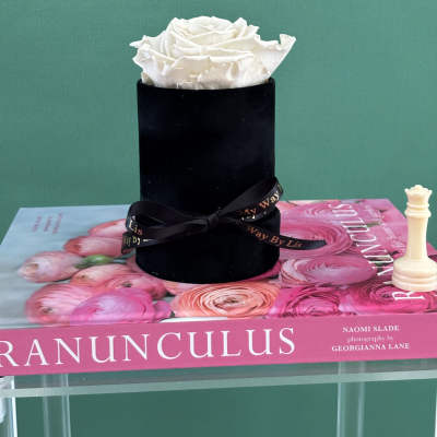 G Torino. (PRESERVED ROSE)