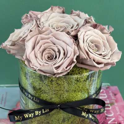 Antonia. (PRESERVED ROSES)