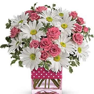 Short arrangement of white daisies and pink spray roses in a pink cube vase with polka dot band