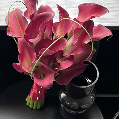Bouquet of pink calla lilies with a black vase