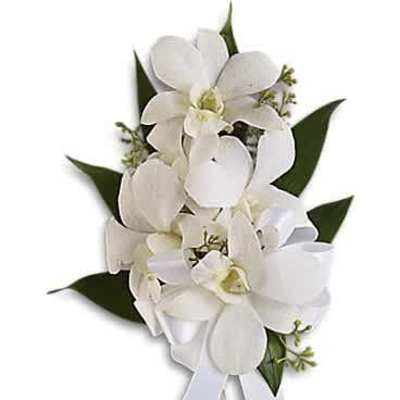 White orchid corsage accented with a white ribbon bow and tails