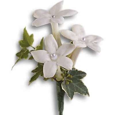 Small white silk flower boutonniere with pearl centers and ivy accents