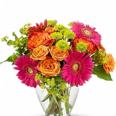 Bright bouquet of hot pink gerbera daisies, orange roses, and green mums in a clear glass vase