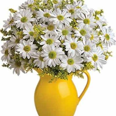 White daisy bouquet with yellow centers arranged in a bright yellow ceramic pitcher
