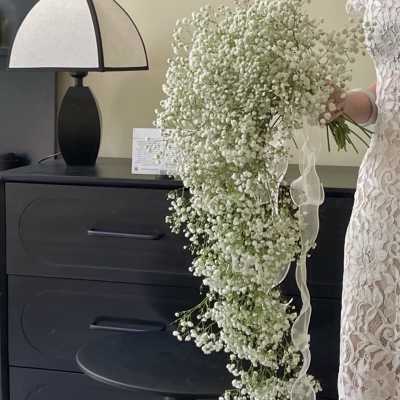 Large cascading bouquet of white baby's breath with a ribbon tie