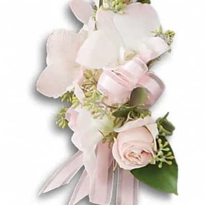 Pale pink rose and white orchid corsage with pink ribbon