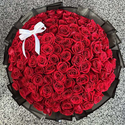 Large bouquet of red roses wrapped in black paper with a white ribbon