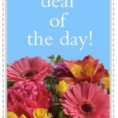 Bright mixed pink, yellow, and orange flowers under blue text reading deal of the day.