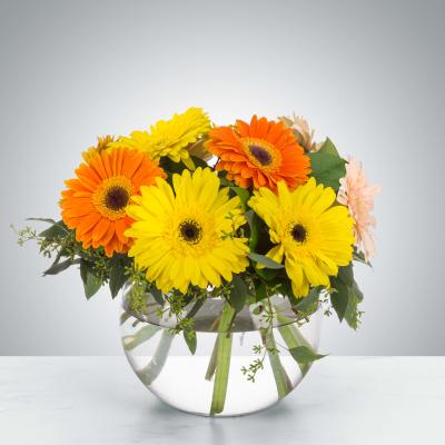 Compact arrangement of yellow, orange, and peach gerbera daisies in a round glass vase