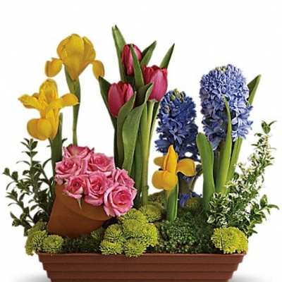Mixed flower planter with tulips, hyacinths, roses, and daffodils in a rectangular container