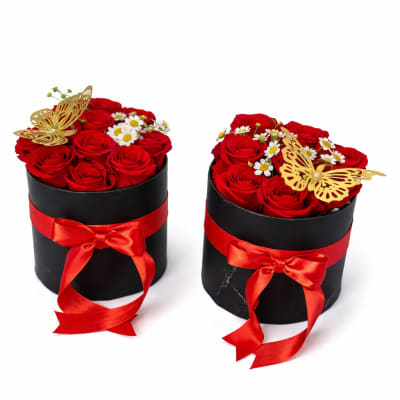 Red Elegante box