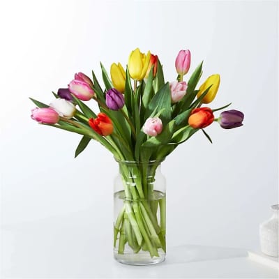 Bouquet of multicolored tulips in a clear glass vase