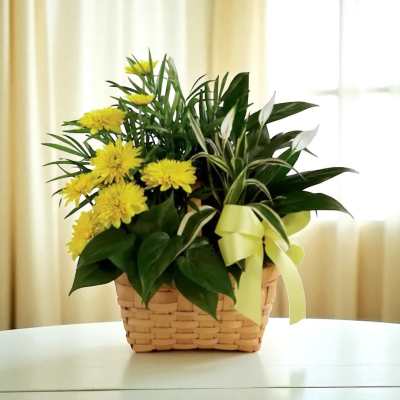 Yellow flowers in a woven basket with a ribbon