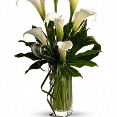 White calla lily arrangement in a clear glass vase