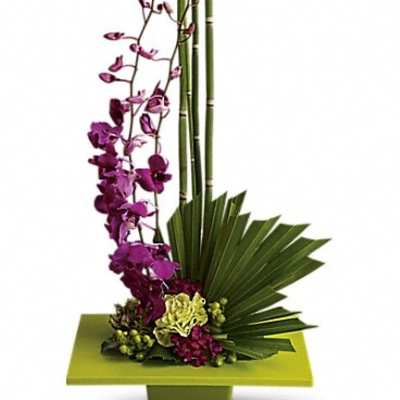 Purple orchids with bamboo and fan-shaped leaves in a green container