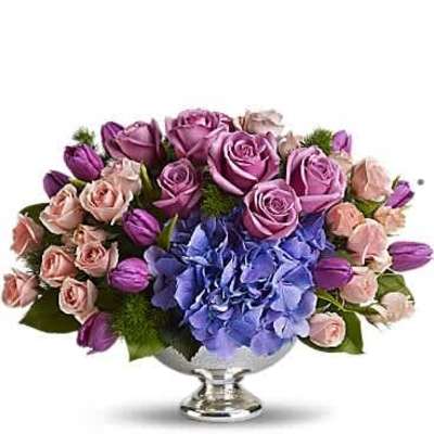 Low silver pedestal vase of purple roses and tulips with pink roses and blue hydrangea