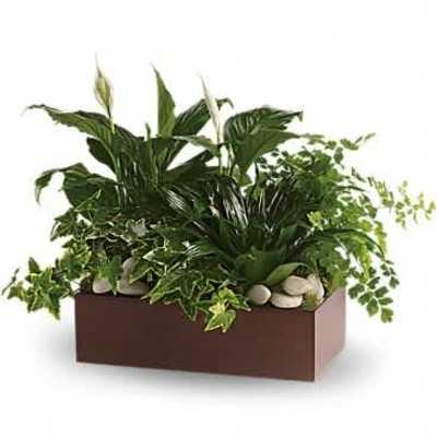Mixed green houseplants with white blooms in a brown rectangular planter with decorative stones