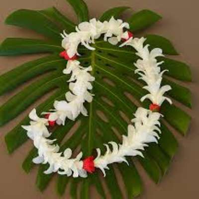 White flower lei on a large green leaf backdrop