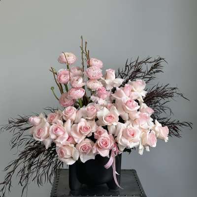 Pink roses and ranunculus in a black vase with dark feathery accents