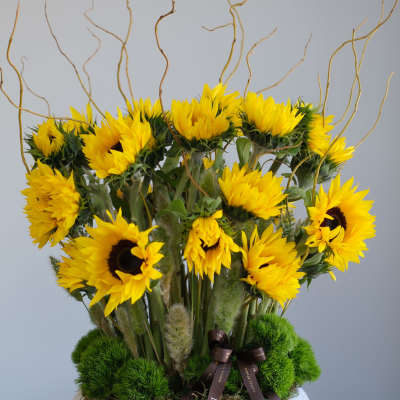 Arrangement of yellow sunflowers in a white bowl vase