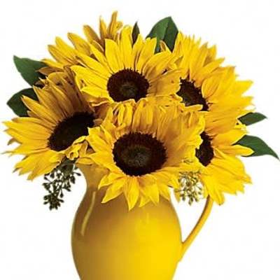Teleflora's Sunny Day Pitcher of Sunflowers