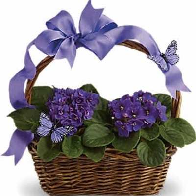 Basket of purple flowering plants with a woven handle, bow, and decorative butterfly accents