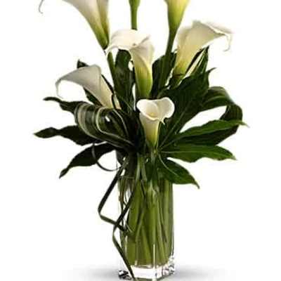 Tall arrangement of white calla lilies with bold green leaves in a clear glass vase