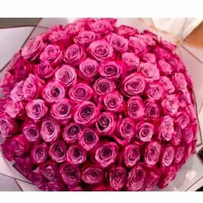 Large round bouquet of bright pink roses