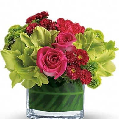 Short round vase with hot pink roses, red mums, and green orchids and button poms