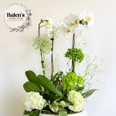 White orchids and green hydrangeas in a white pedestal bowl