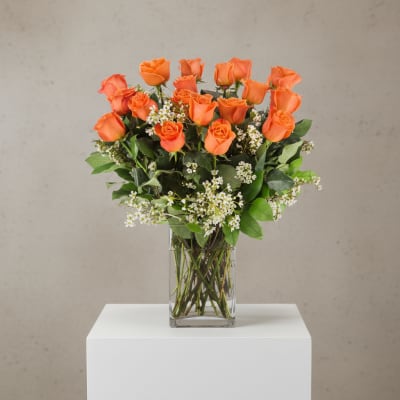 Long Stem Coral Roses