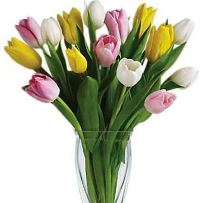 Tall clear glass vase filled with pink, yellow, and white tulips.