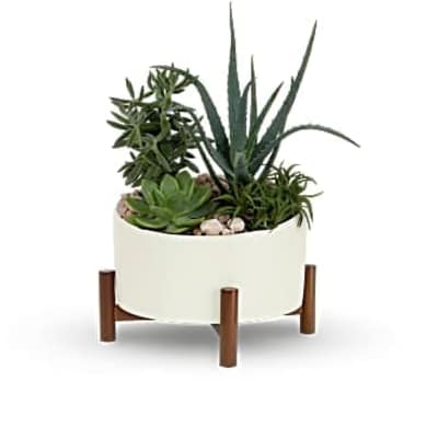Low succulent garden in a white round planter on a small wooden stand with mixed green plants
