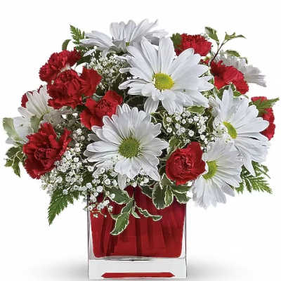 Red carnations and white daisies in a red glass vase
