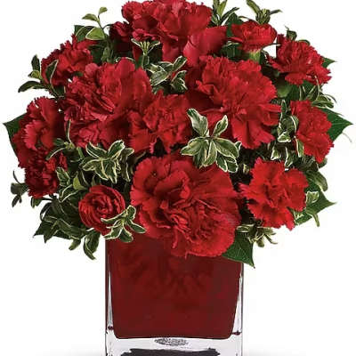 Red carnations arranged in a clear square vase