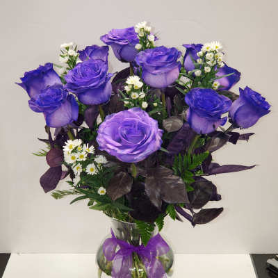 Dozen royal purple roses