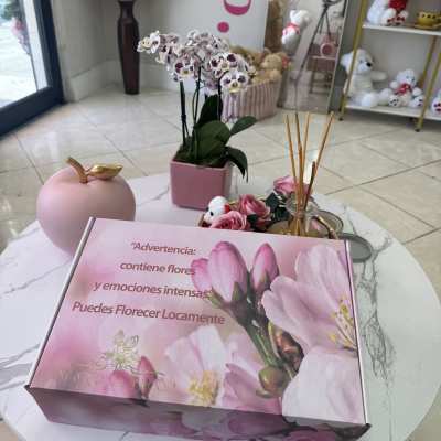 Pink orchid plant in a square pot beside a pink gift box