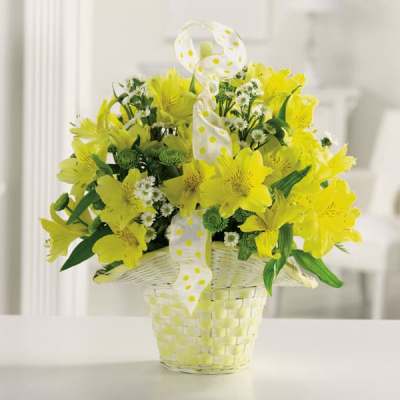 Yellow alstroemeria and white daisies in a white woven basket with a yellow polka dot ribbon