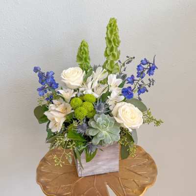 White roses and blue flowers arranged in a square vase with a succulent.