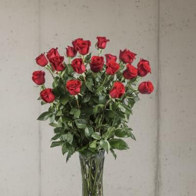 Two Dozen Long Stemmed Red Roses