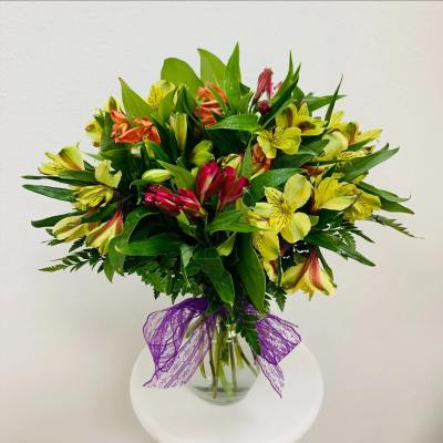 Abundance Alstroemeria