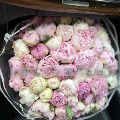 Bouquet of pink and white peonies wrapped in clear plastic