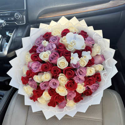 Miss Pretty and Wrapped