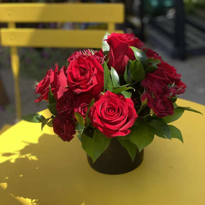 Red roses arranged in a black vase on a yellow table