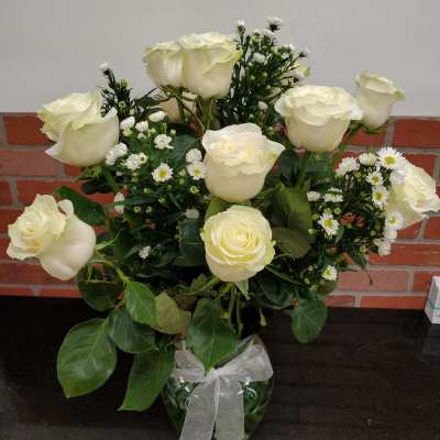 Beautiful White Rose's