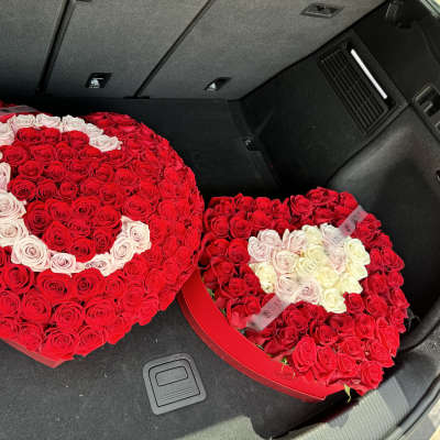 Two heart-shaped rose arrangements in red and white sit in a car trunk.